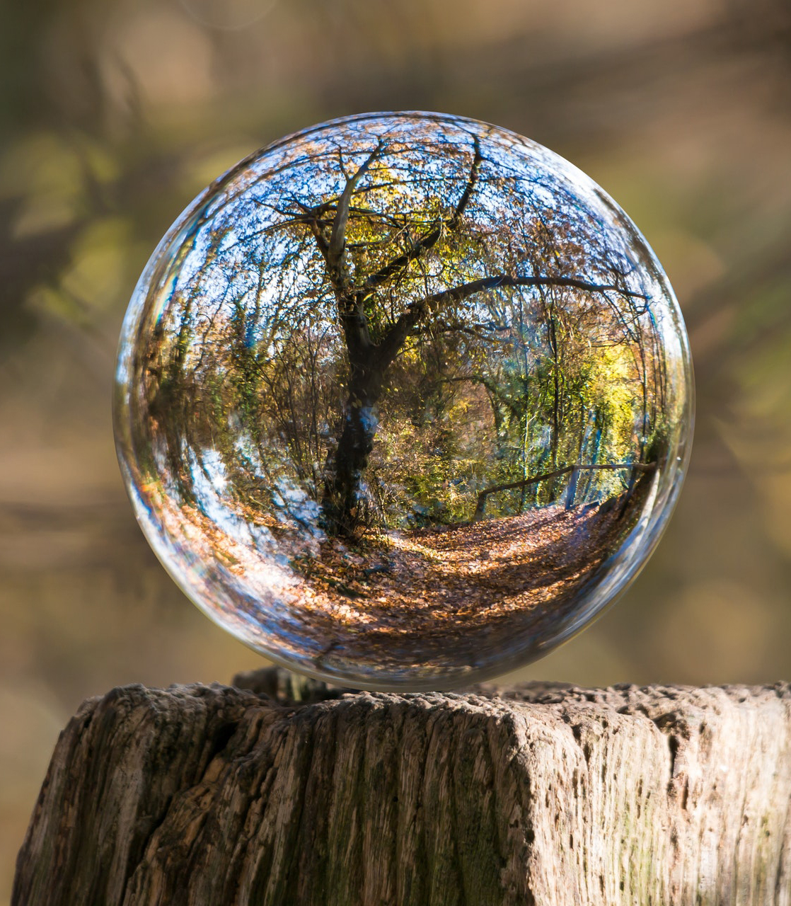 Calling Central Bedfordshire Businesses! Central Bedfordshire Council and the Green Business Network to launch Green Business Collaboration