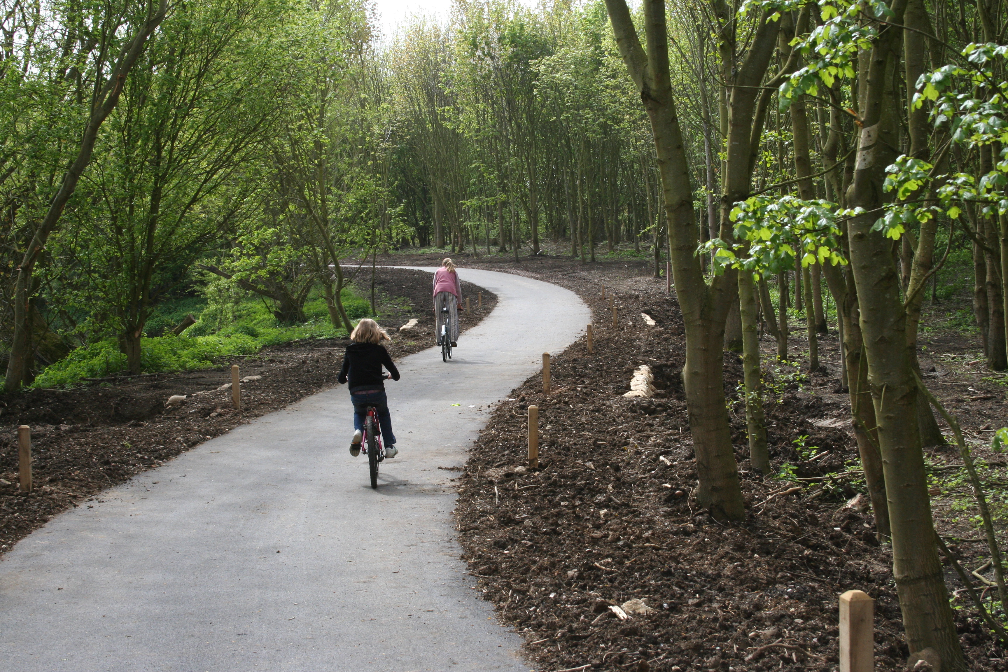 Community Forest charity encourages local people to make global impact in fight against the climate emergency